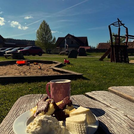Pension Slunečná Želnava Extérieur photo