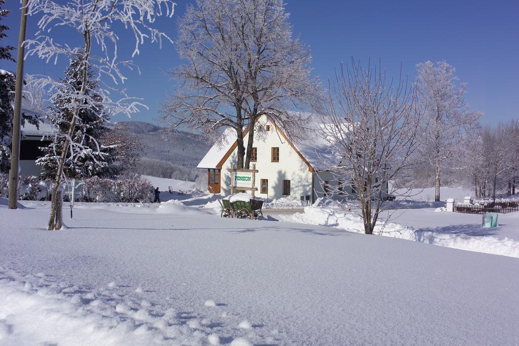 Pension Slunečná Želnava Extérieur photo